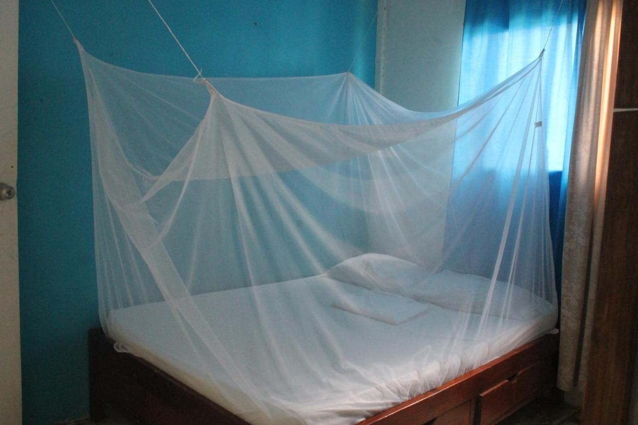 Taida Experience Hostel Rincon ภายนอก รูปภาพ